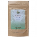 Shallaki Boswellia Serrata Powder Organic